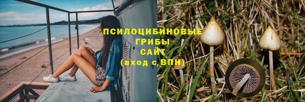 крисы Абдулино