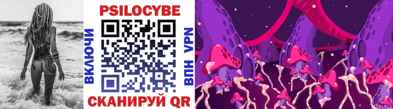 Псилоцибиновые грибы мицелий  купить наркоту  Сурск 